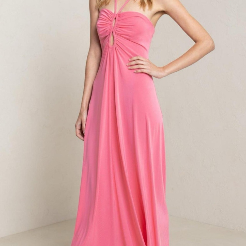 ALC Halter Pink Maxi Dress